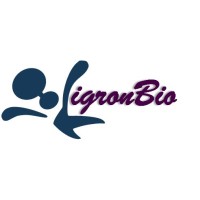 LigronBio - Attending Companies